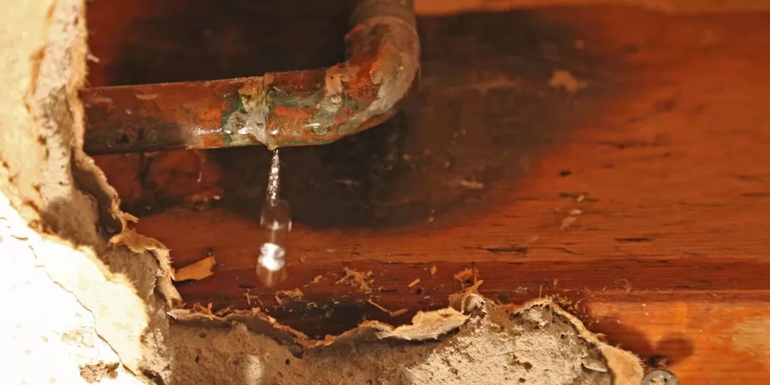 Pipe Leak Repair by Atlas Plumbing Services LLC Pipe Leak Repair by Atlas Plumbing Services LLC